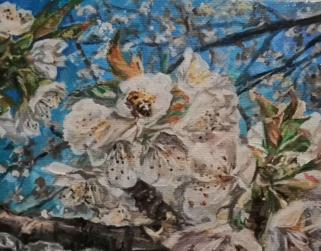 маслени бои - 15х20см