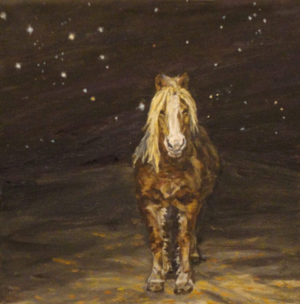 маслени бои - 20х20см