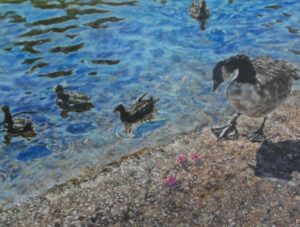 маслени бои - 30х40см