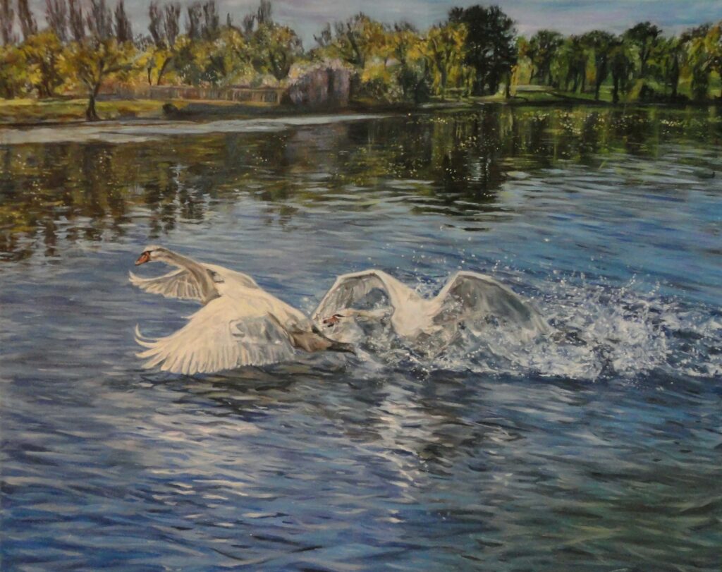 маслени бои - 30х40см