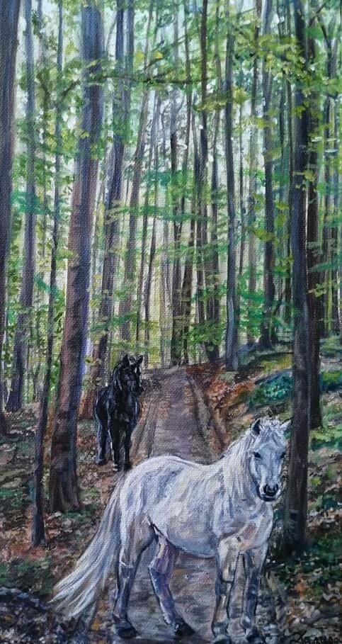 маслени бои - 30х70см