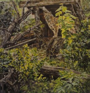 маслени бои - 40х40см