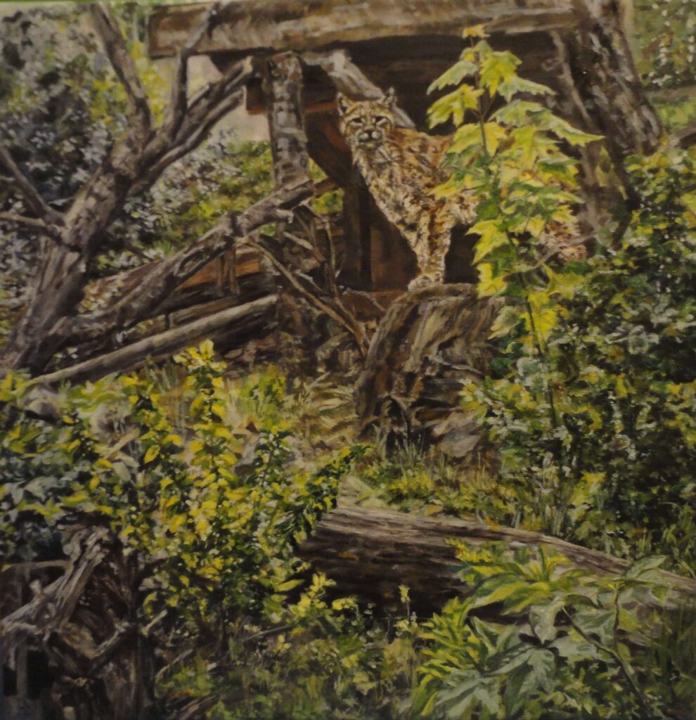 маслени бои - 40х40см