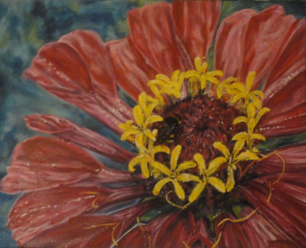 маслени бои - 40х50см