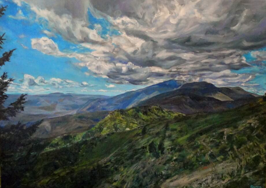 маслени бои - 50х70см