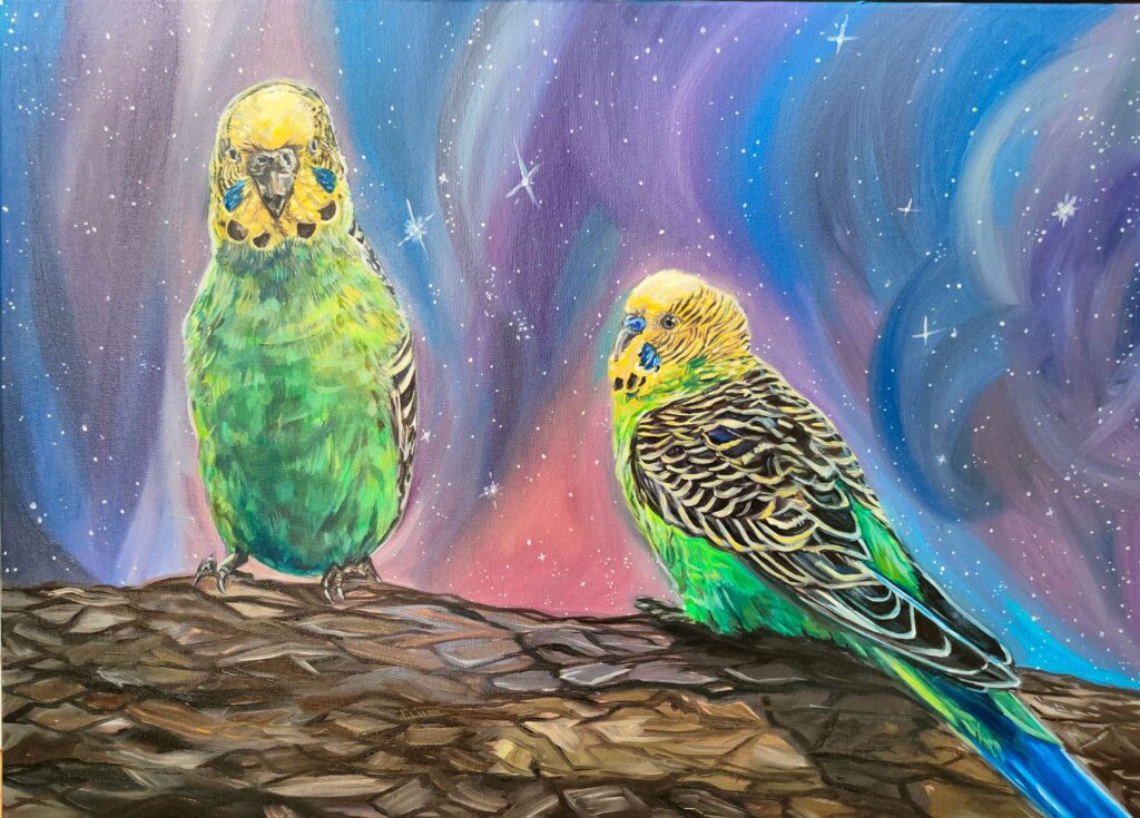 маслени бои - 50х70см