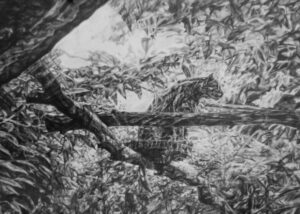 графика (молив) - А4