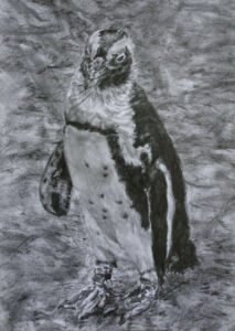 графика (молив) - А4