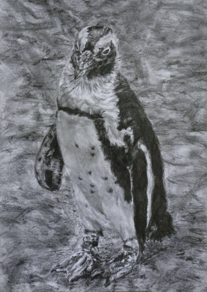 графика (молив) - А4