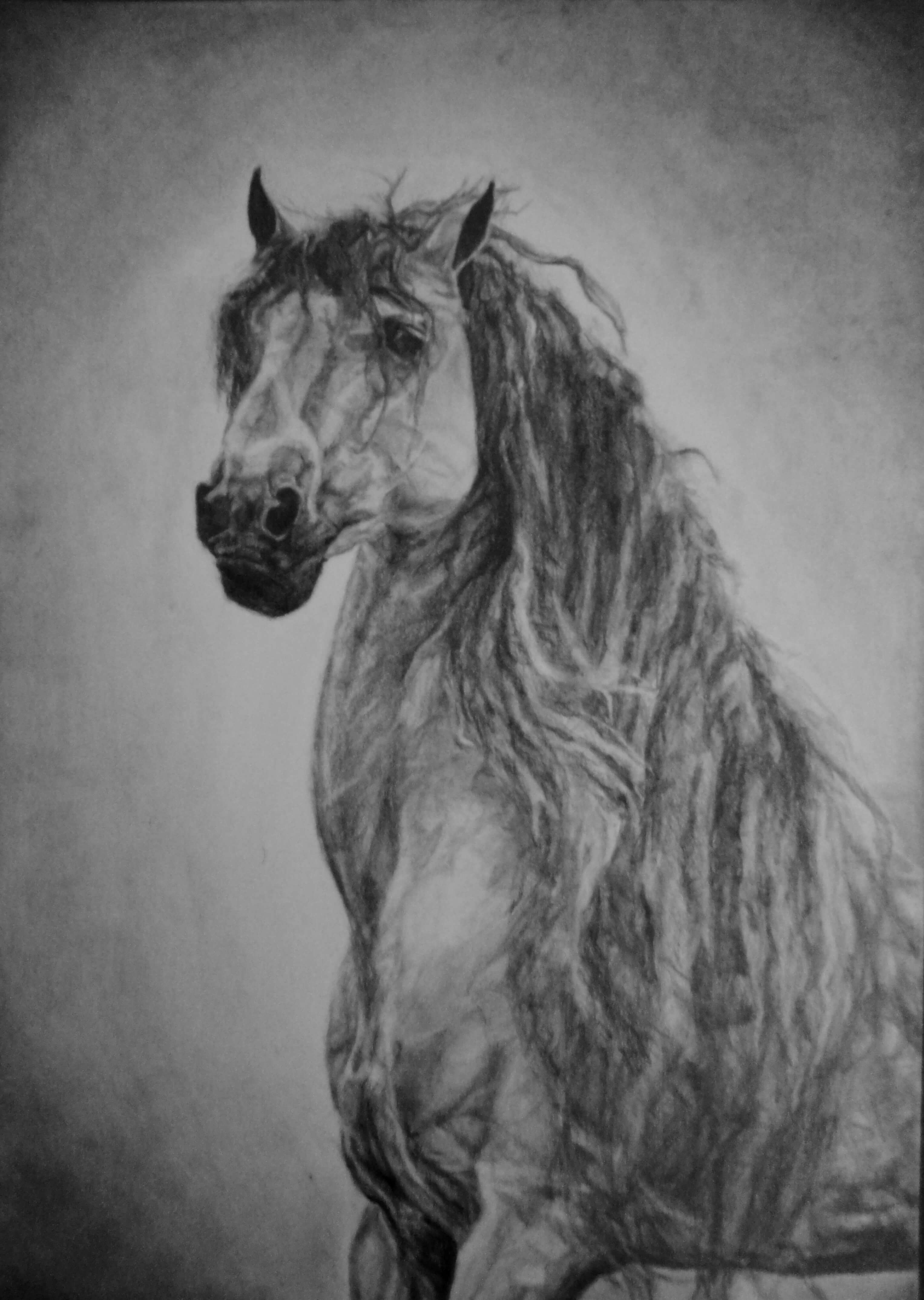 графика (молив) - А4