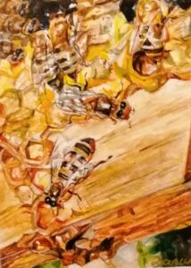 акварелни бои - 18х22см