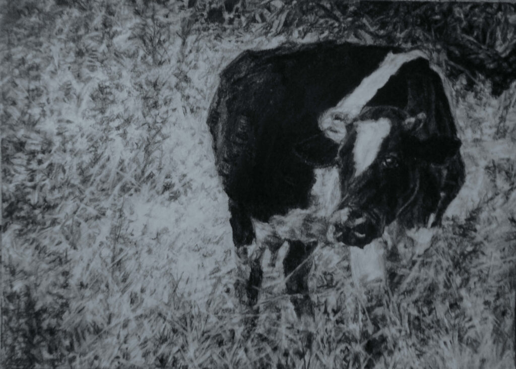 графика (молив) - А4