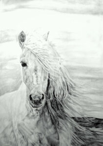 графика (молив) - А4